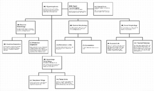 Vespoid Talent Tree.png